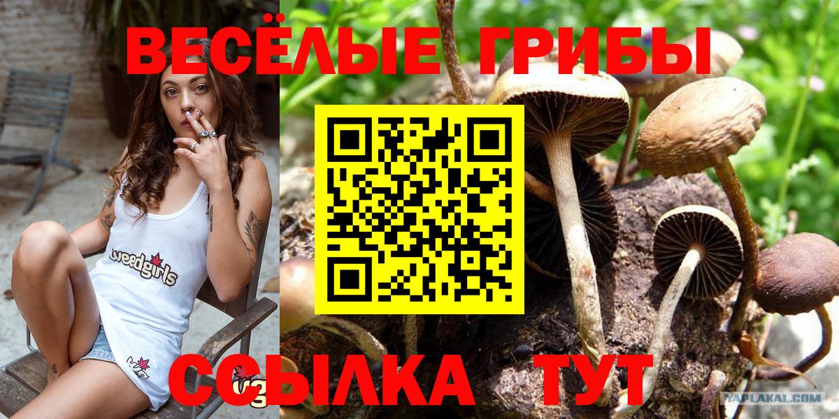 Галлюциногенные грибы Magic Shrooms  купить  цена  Вход с VPN  Можайск  Галлюциногенные грибы ЛСД 